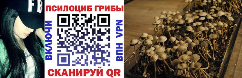 Псилоцибиновые грибы ЛСД  Кимовск 